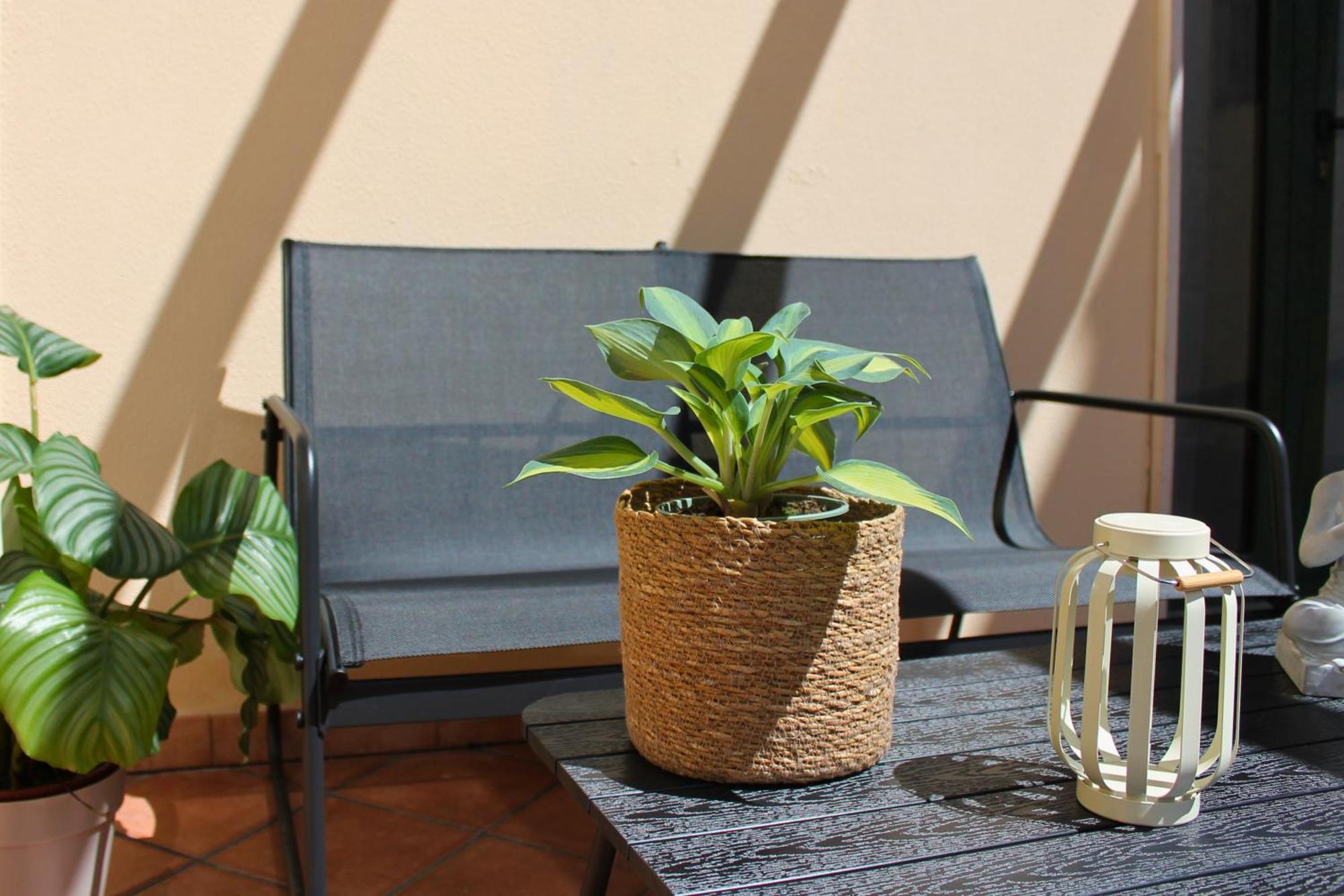 Dimidium Apartment Guspini Exterior foto